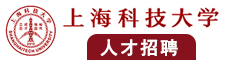 日B视频免费